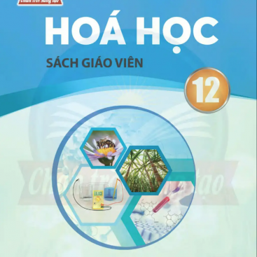 Hoa 12